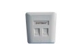 Systimax 2-Port Faceplate