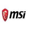 MSI