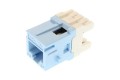 Belden AX101071 CAT 6 RJ45 Modular Jack Blue