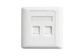Belden AX104442 Dual Port Face Plate