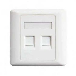 Belden AX104442 Dual Port Face Plate