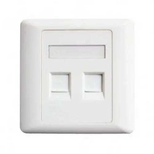 Belden AX104442 Dual Port Face Plate