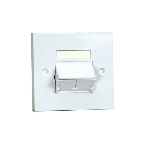 Panduit 2-Port Face Plate