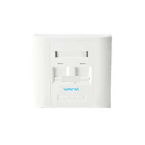 SafeNet 2-Port Face Plate | 17-2020WT-C