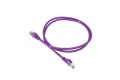 C6P4107001M Cat 6 UTP 24 AWG Patch Cord LSZH Purple Color 1M